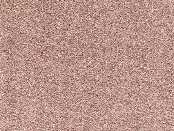 Highland Heathers-Pink Panache image 0