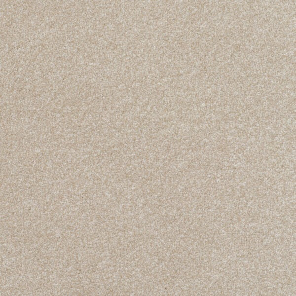 Endeavour-Suede image 0