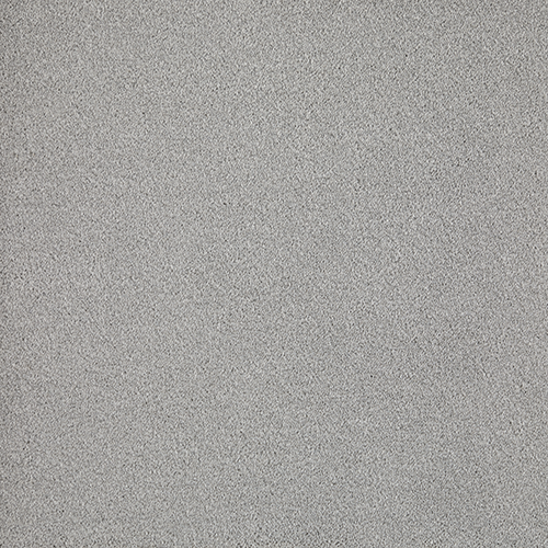 Rodina-Silver Mouse image 0