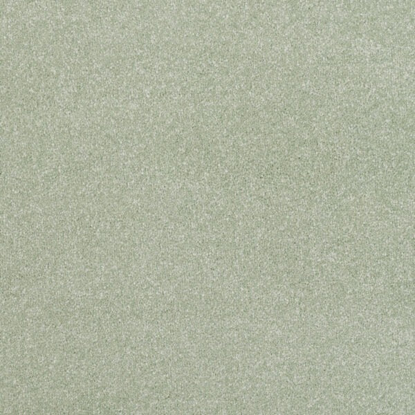 Endeavour-Meadow Dew image 0