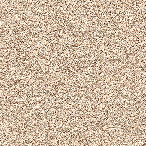 Encore Elite-Croissant image 0