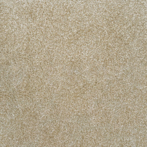 Royal Saxony-Old Parchment image 0