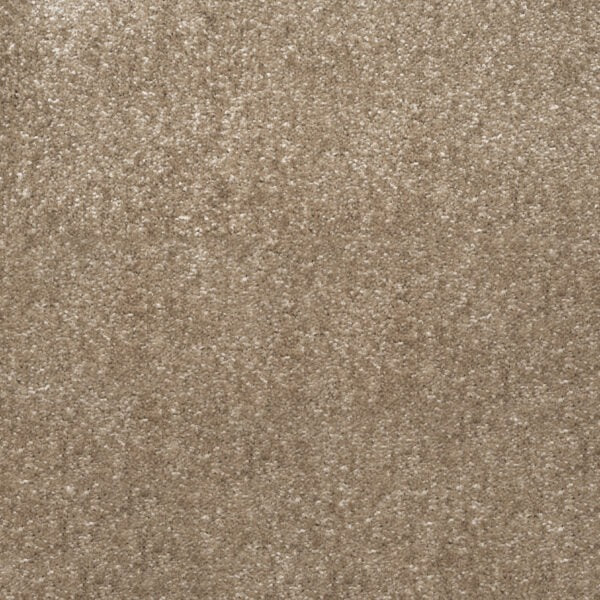Royal Saxony-Lions Mane image 0