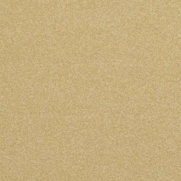 Endeavour-Vanilla image 0