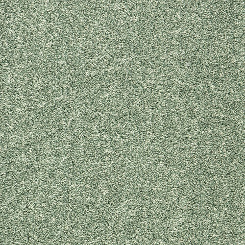 Encore Extra-Seaweed image 0