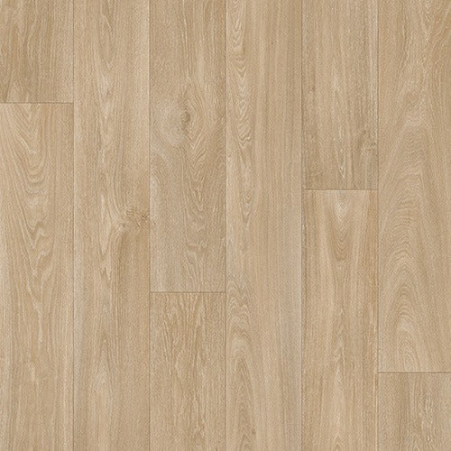 Timberland-Argonne image 0