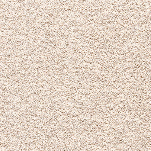 Encore Elite-Shortbread image 0
