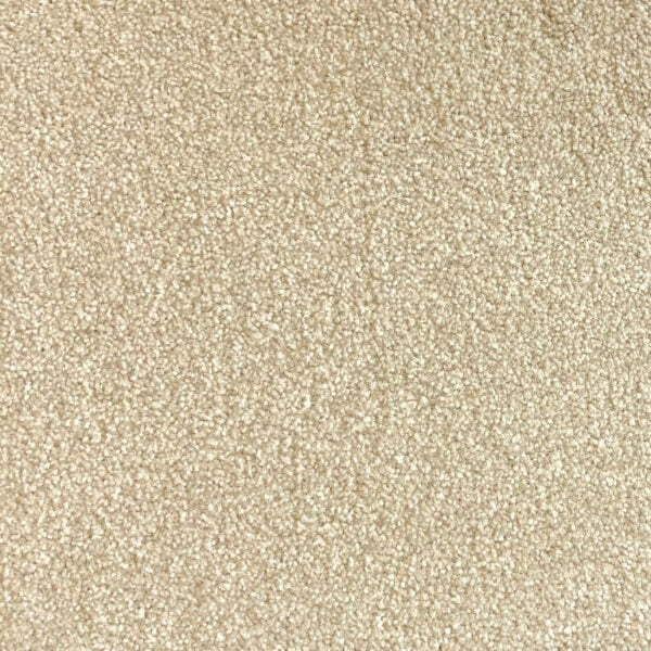 Midas Elegant Living-Acanthus Leaf image 0