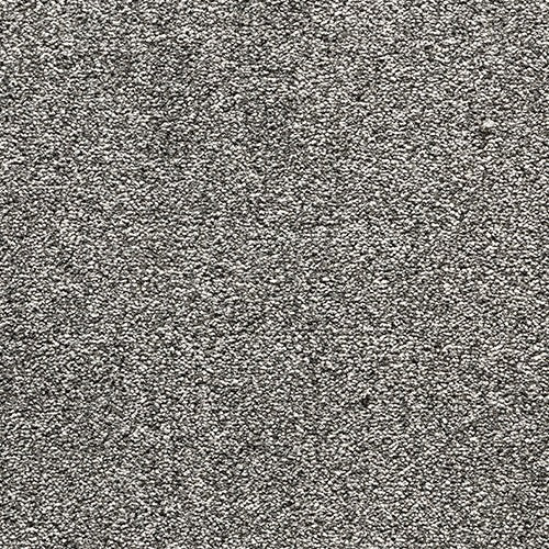 Encore Elite-Raven image 0