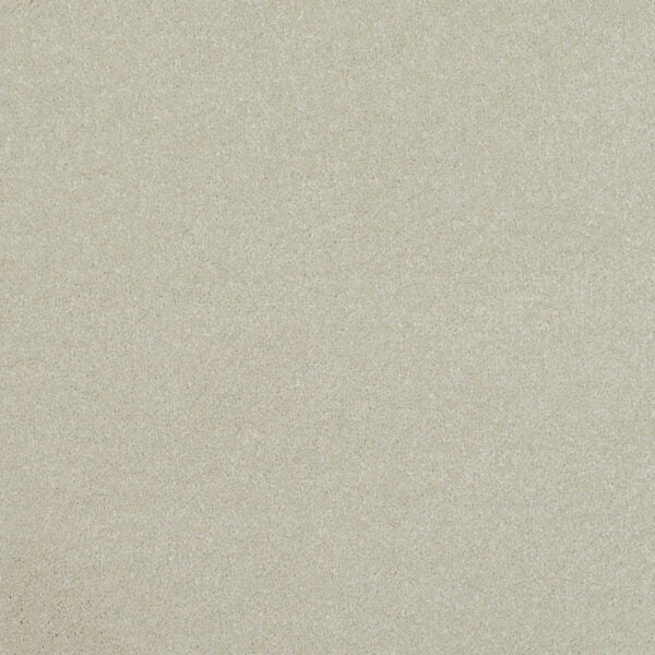 Endeavour-Shell image 0