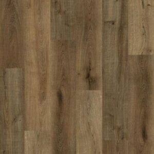 Aspire Elite-Country Oak-Stick Plank