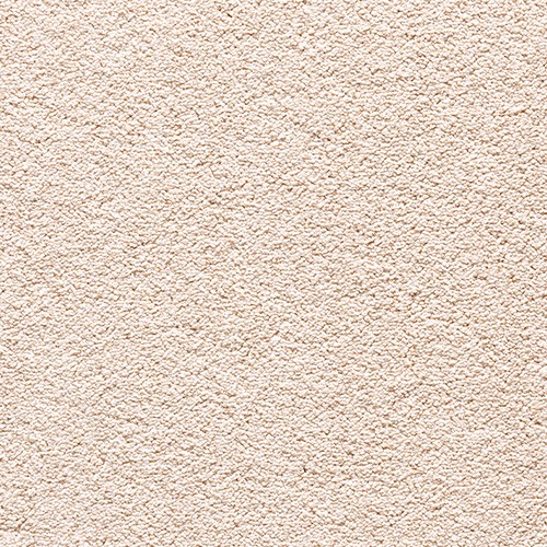 Encore Elite-Shortbread