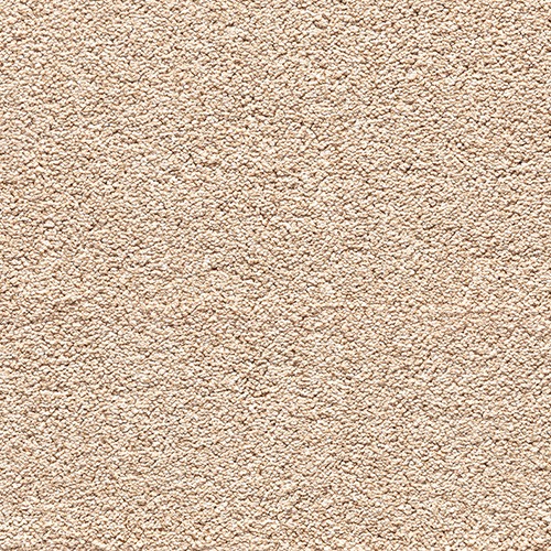 Encore Elite-Croissant