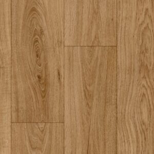 Foundations-New Forest