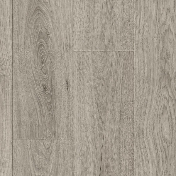 Foundations-Hamsterley